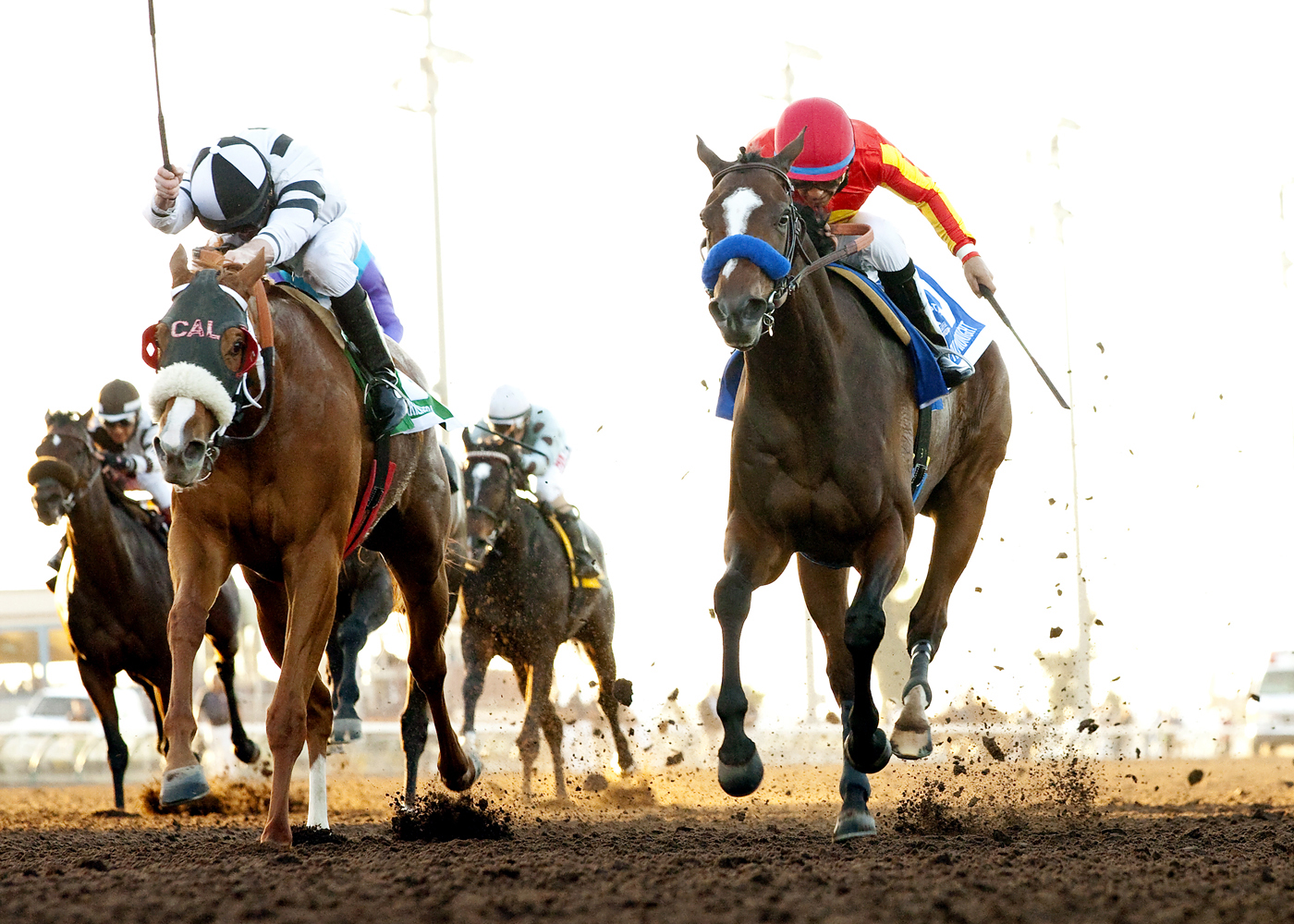 Tiz Midnight beats Warren's Veneda in the Bayakoa