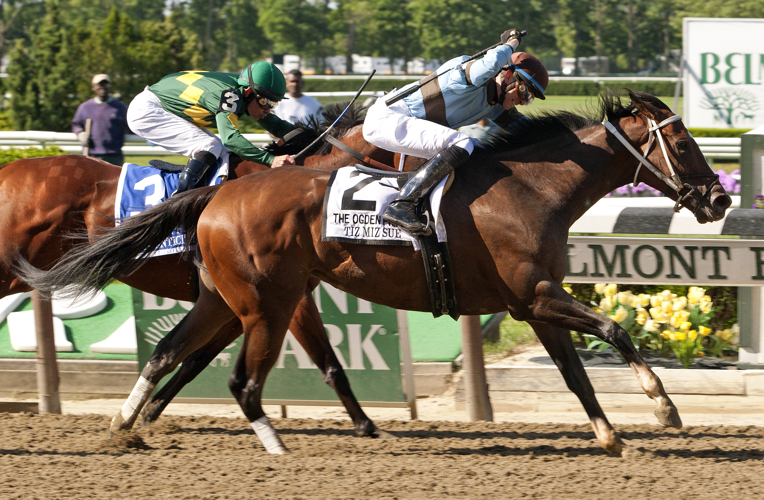 Tiz Miz Sue/Ogden Phipps Handicap