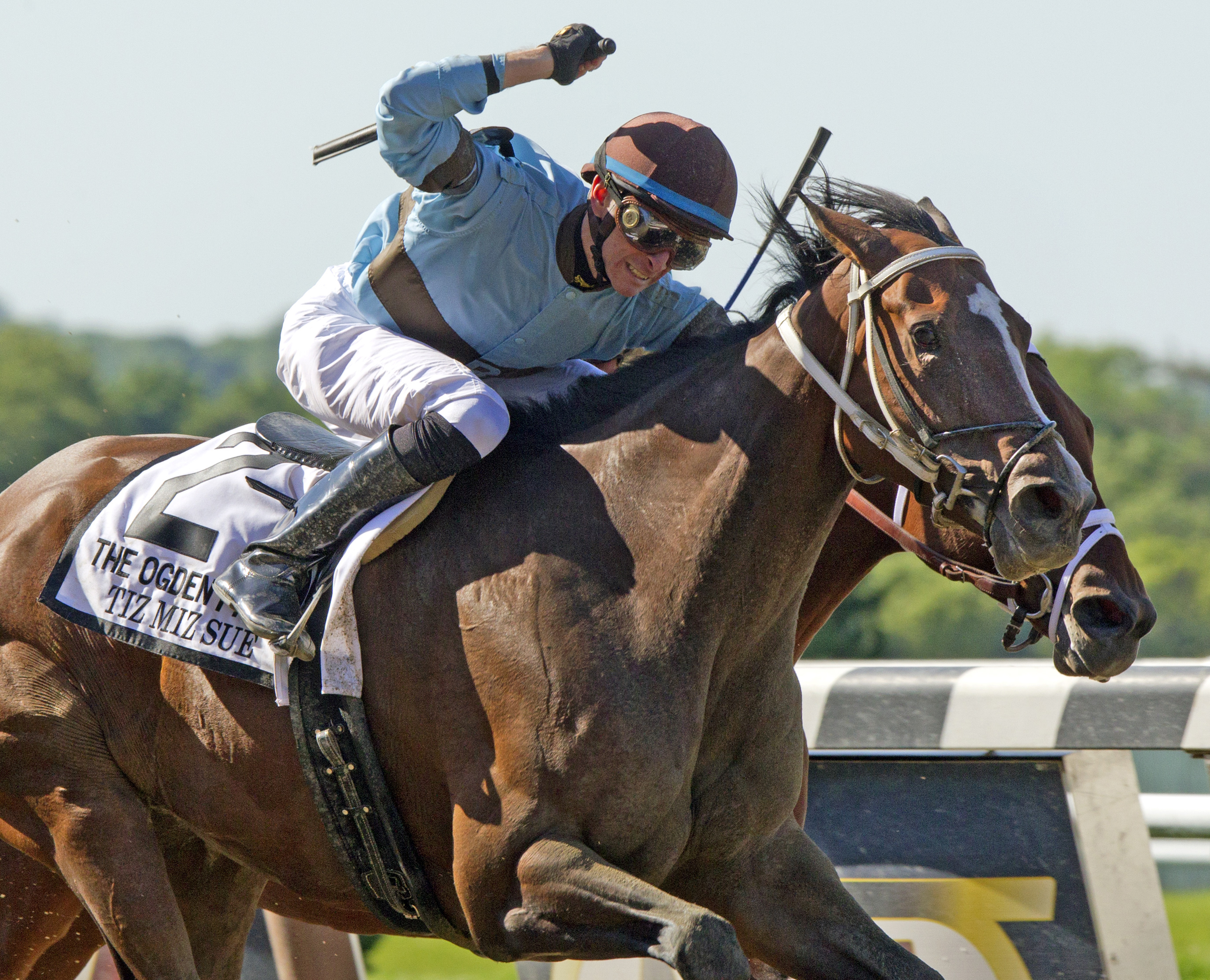 Tiz Miz Sue, Ogden Phipps Handicap
