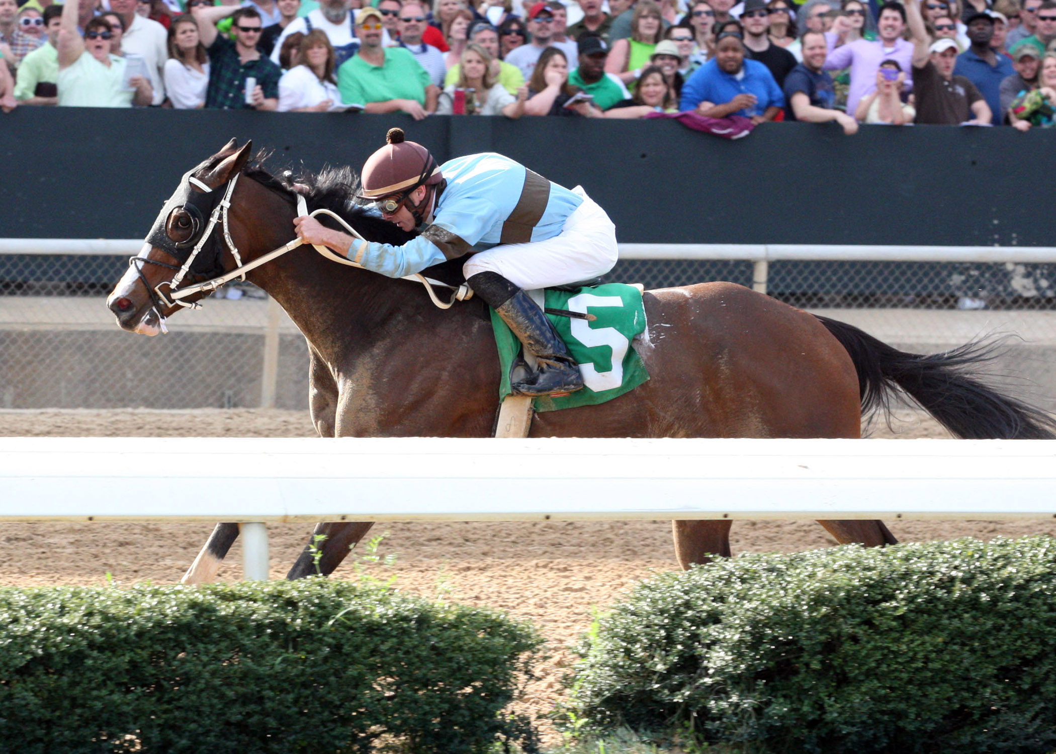 Tiz Miz Sue/Azeri Stakes