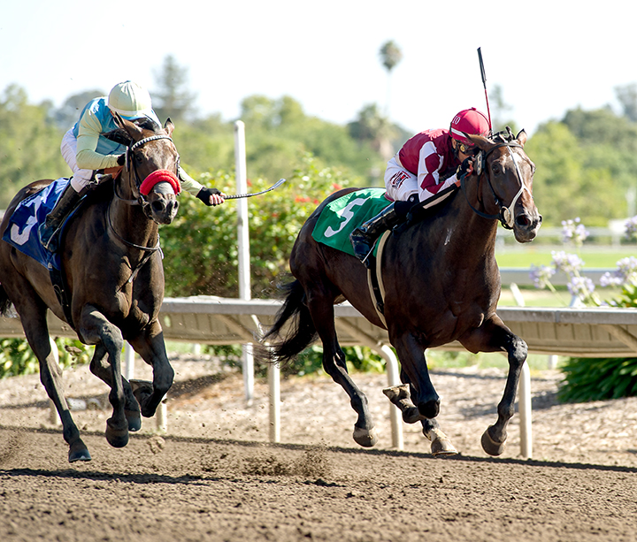 Tiz Plus wins the Robert Dupret Derby at Santa Rosa