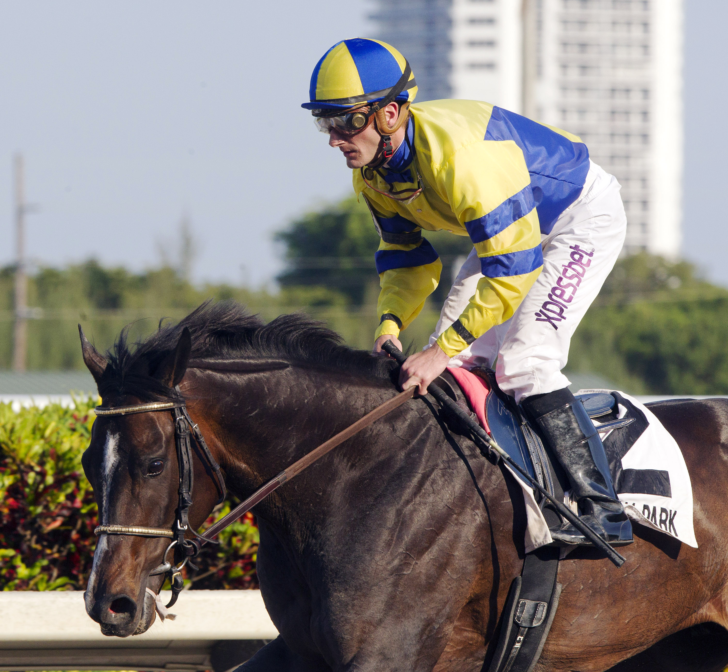 Tiz Windy finishes fifth in the Royal Delta