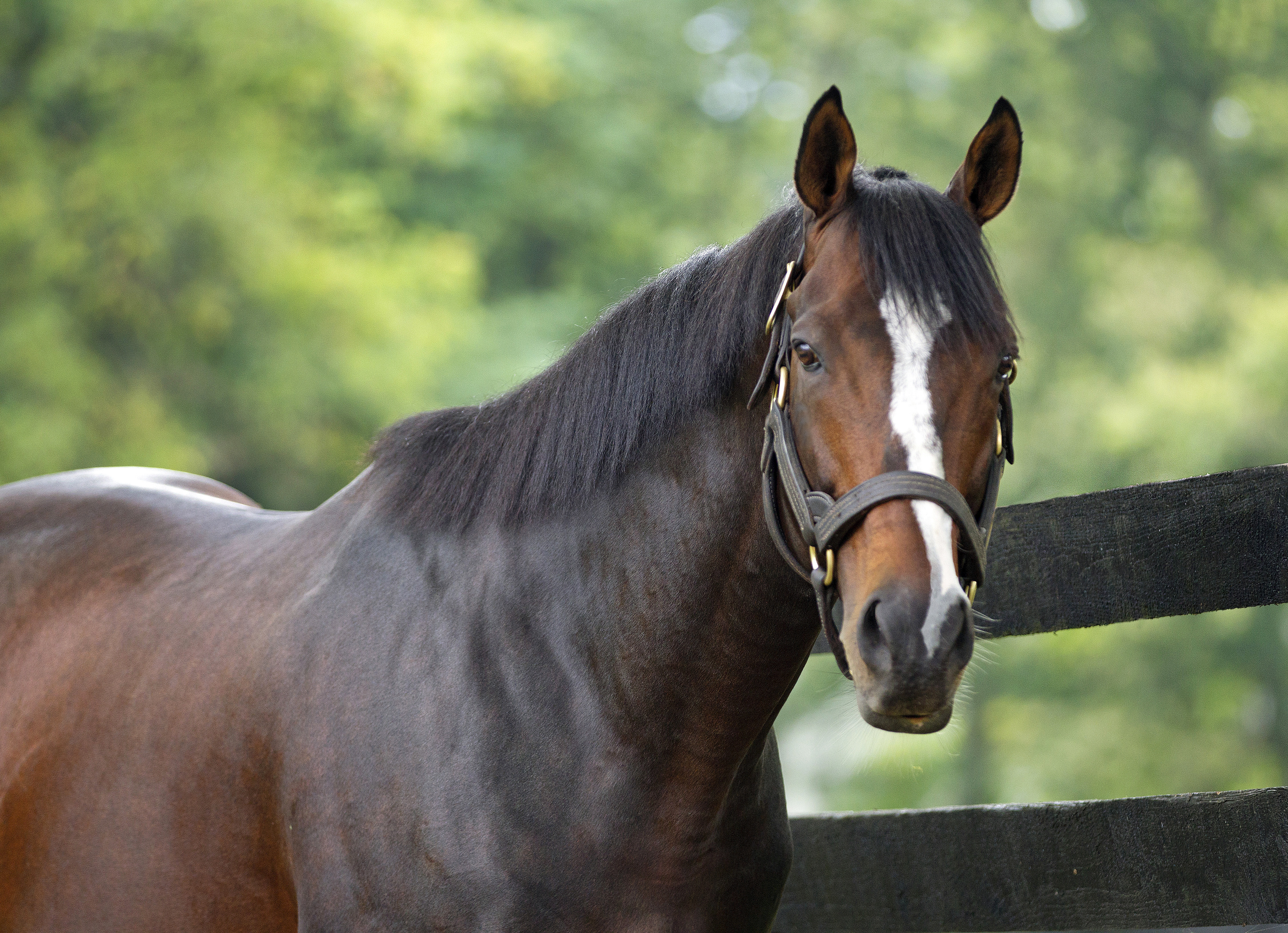 Tiz Wonderful at Spendthrift