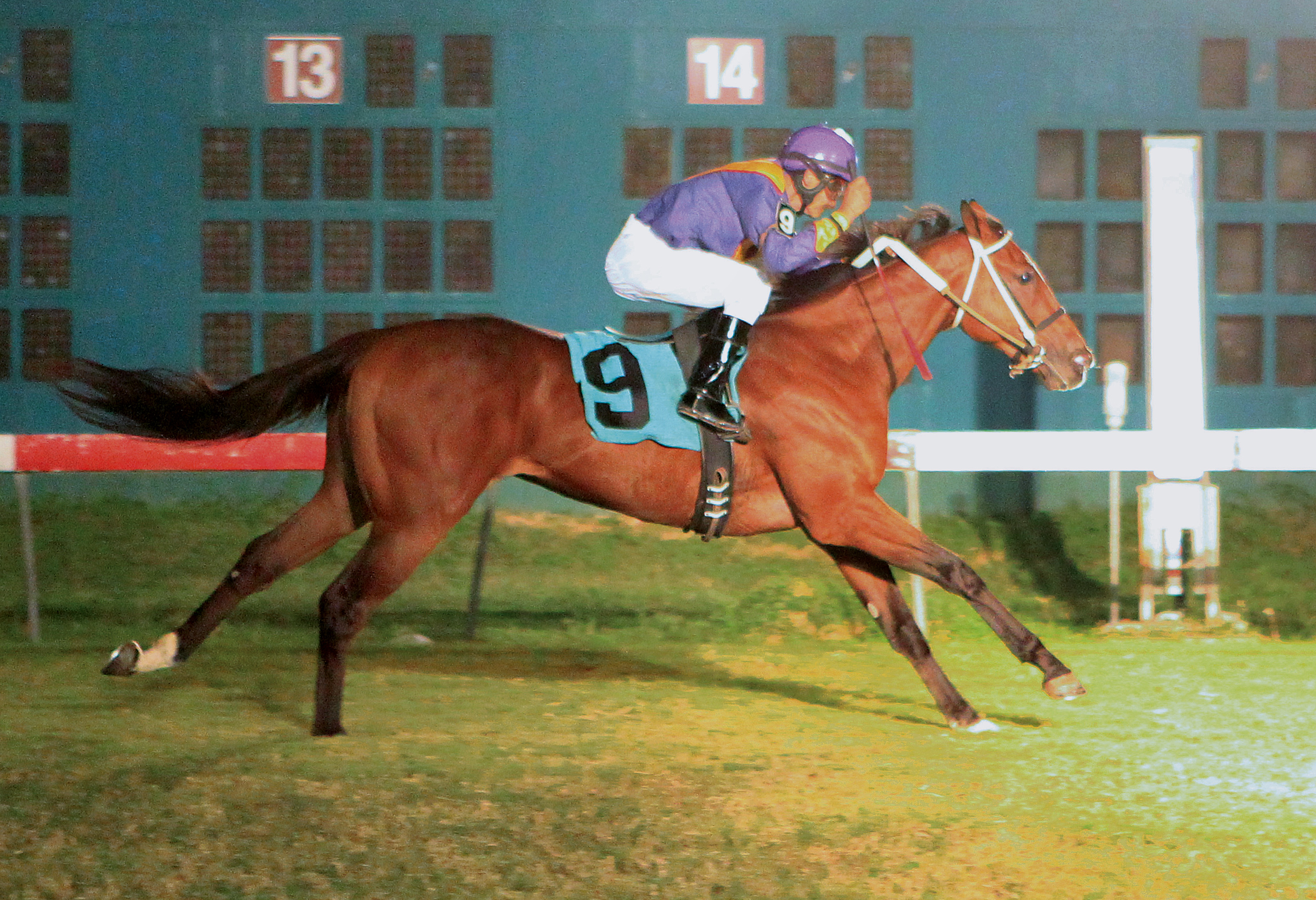 Tiz a Melody win the 2016 El Joven Stakes