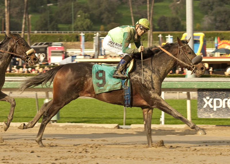 Tiz a Minister 1-26-2013