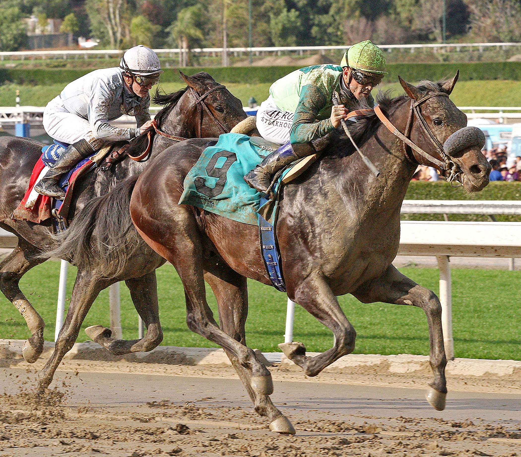 Tiz a Minister, California Breeders' Champion Stakes