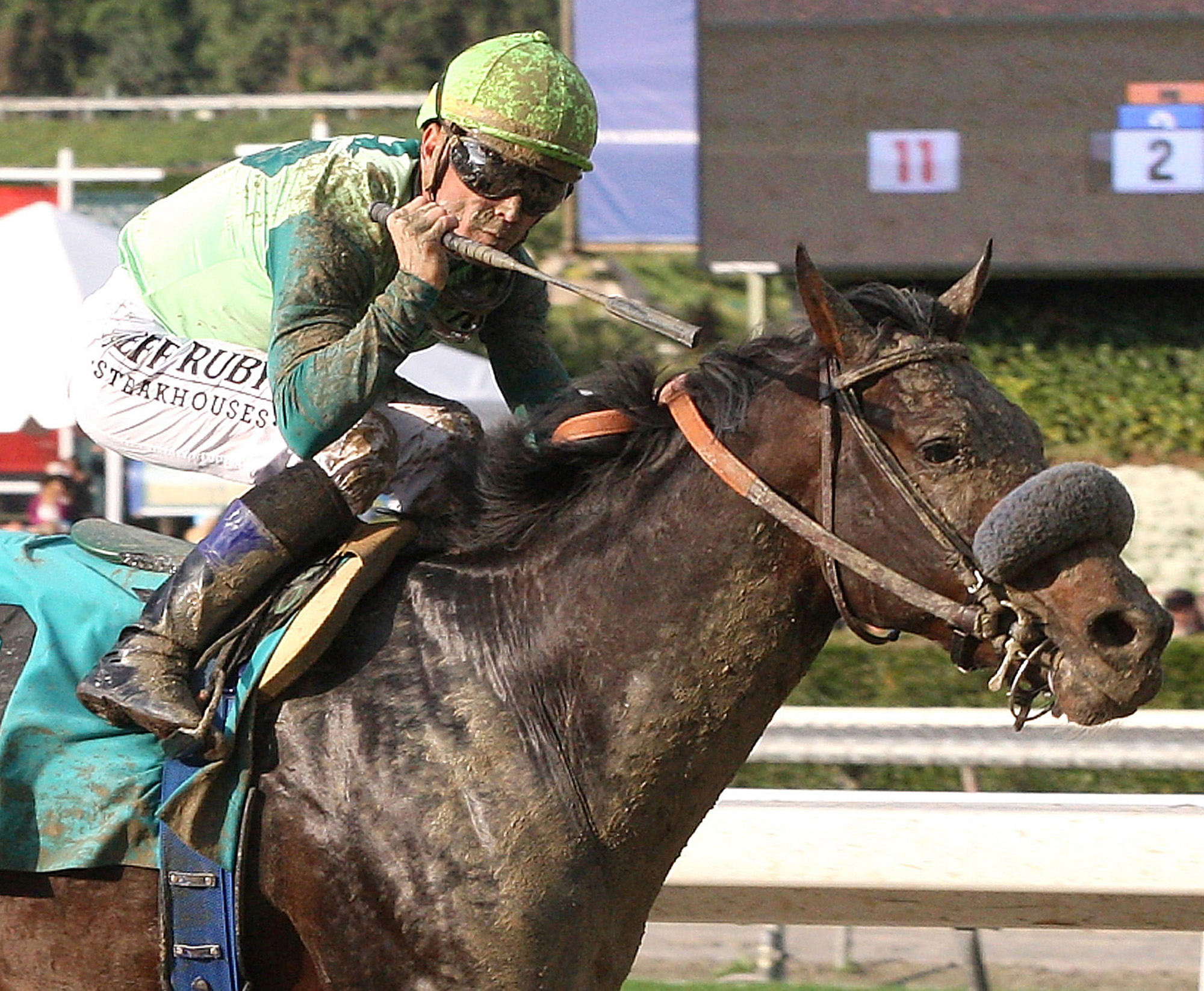 Tiz A Minister, California Breeders' Champion Stakes at Santa Anita