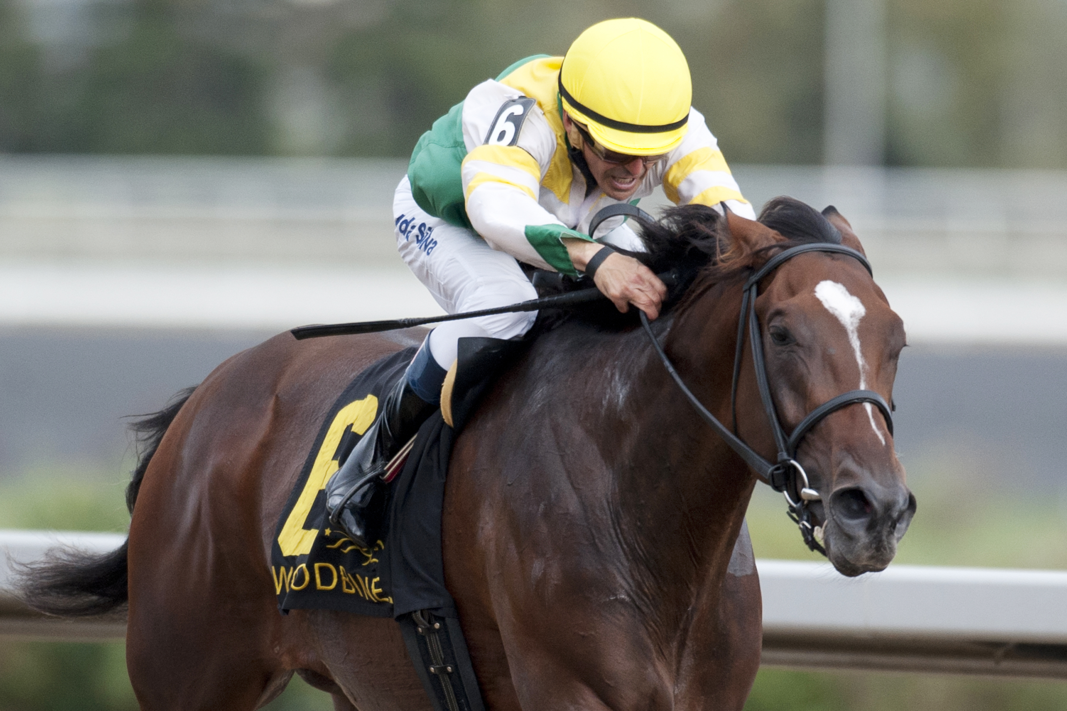 Tiz a Slam wins the 2017 Ontario Derby