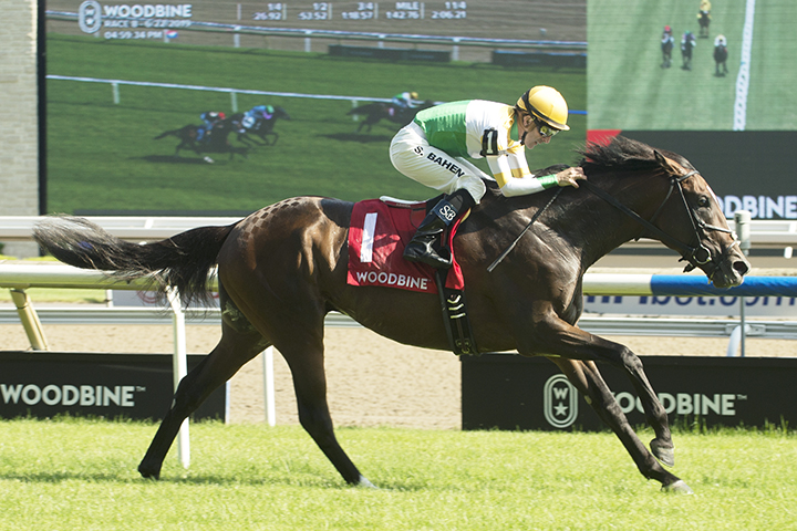 Tiz a Slam wins the 2019 Singspiel at Woodbine Racetrack
