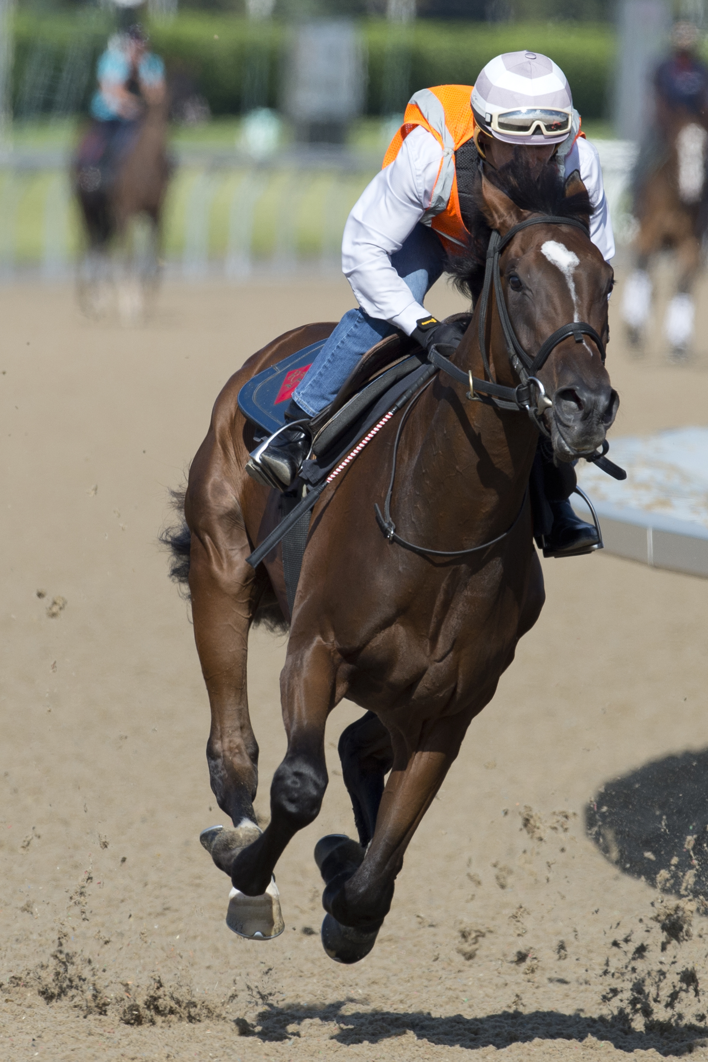 Tiz a Slam trains at Woodbine on June 30