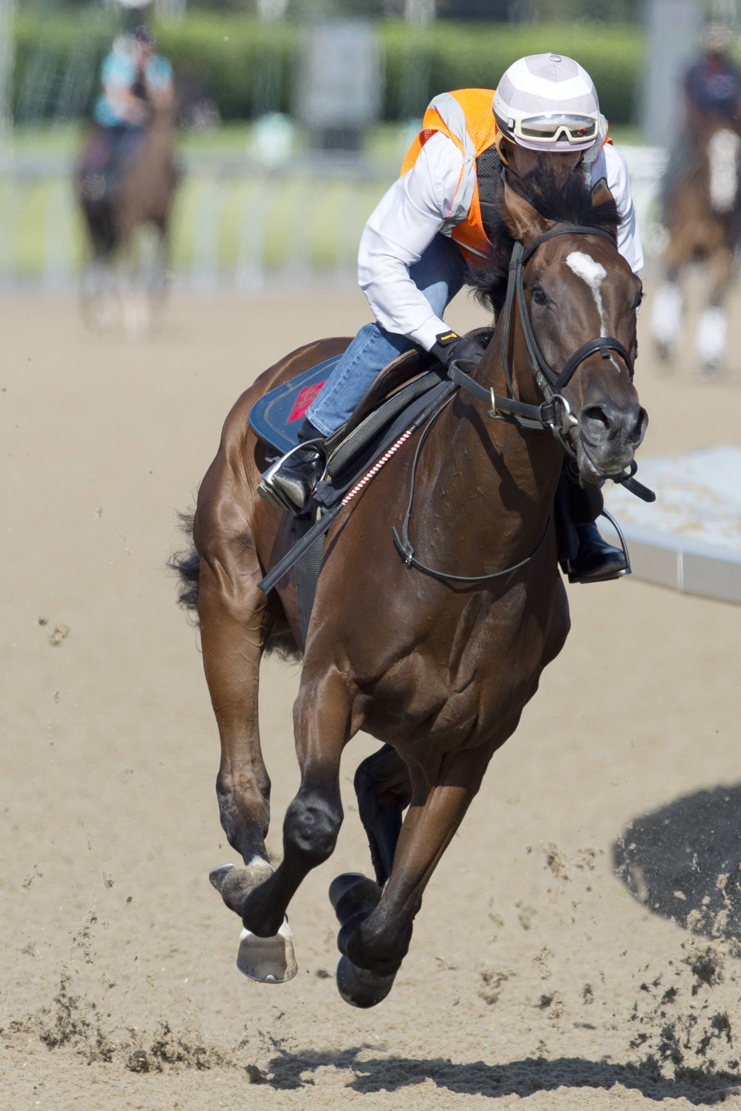 Tiz a Slam trains at Woodbine on June 30