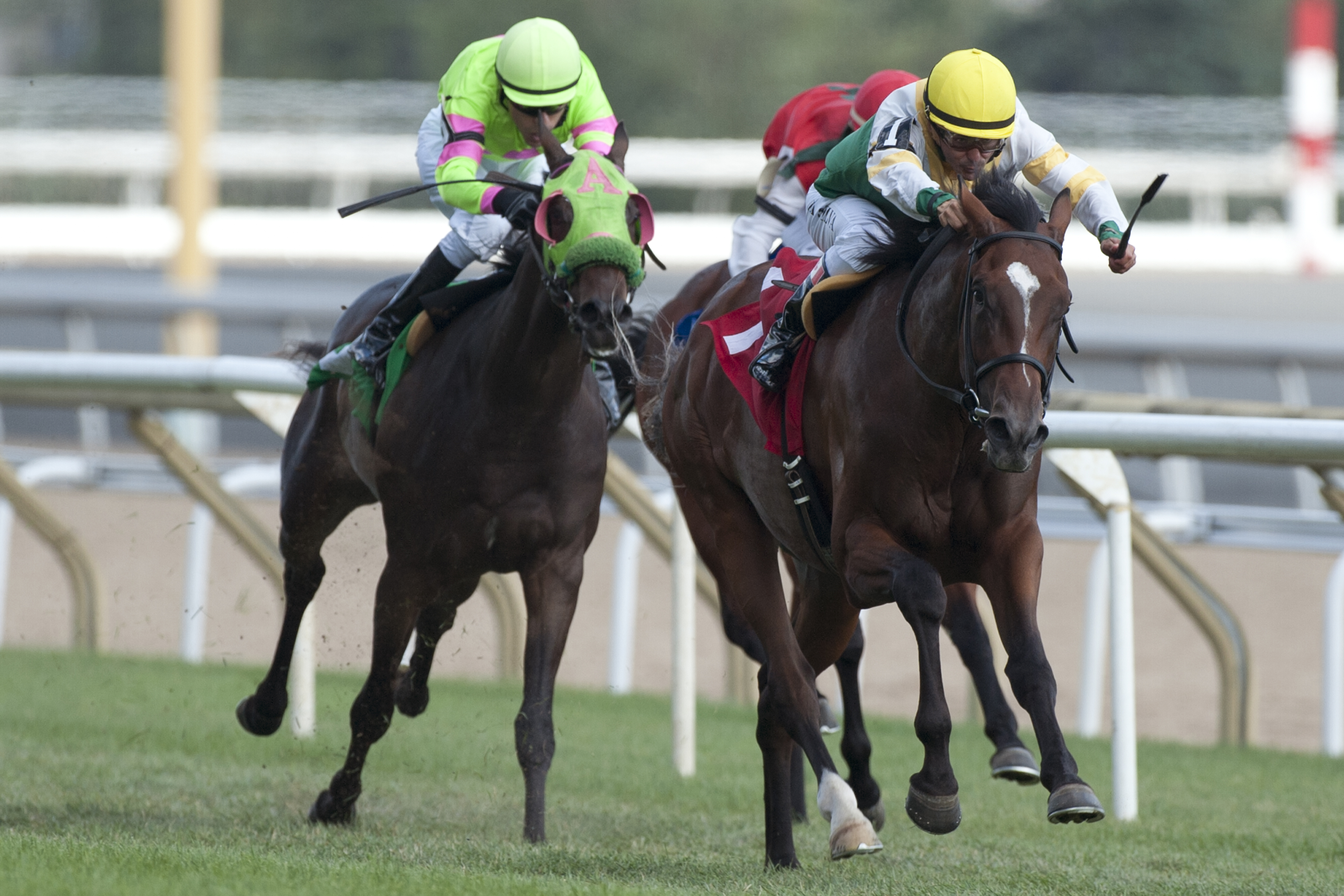 Tiz a Slam wins an Aug. 28 allowance race at Woodbine