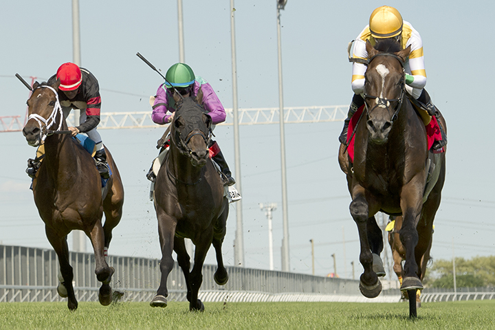 Tiz a Slam wins the 2019 Singspiel