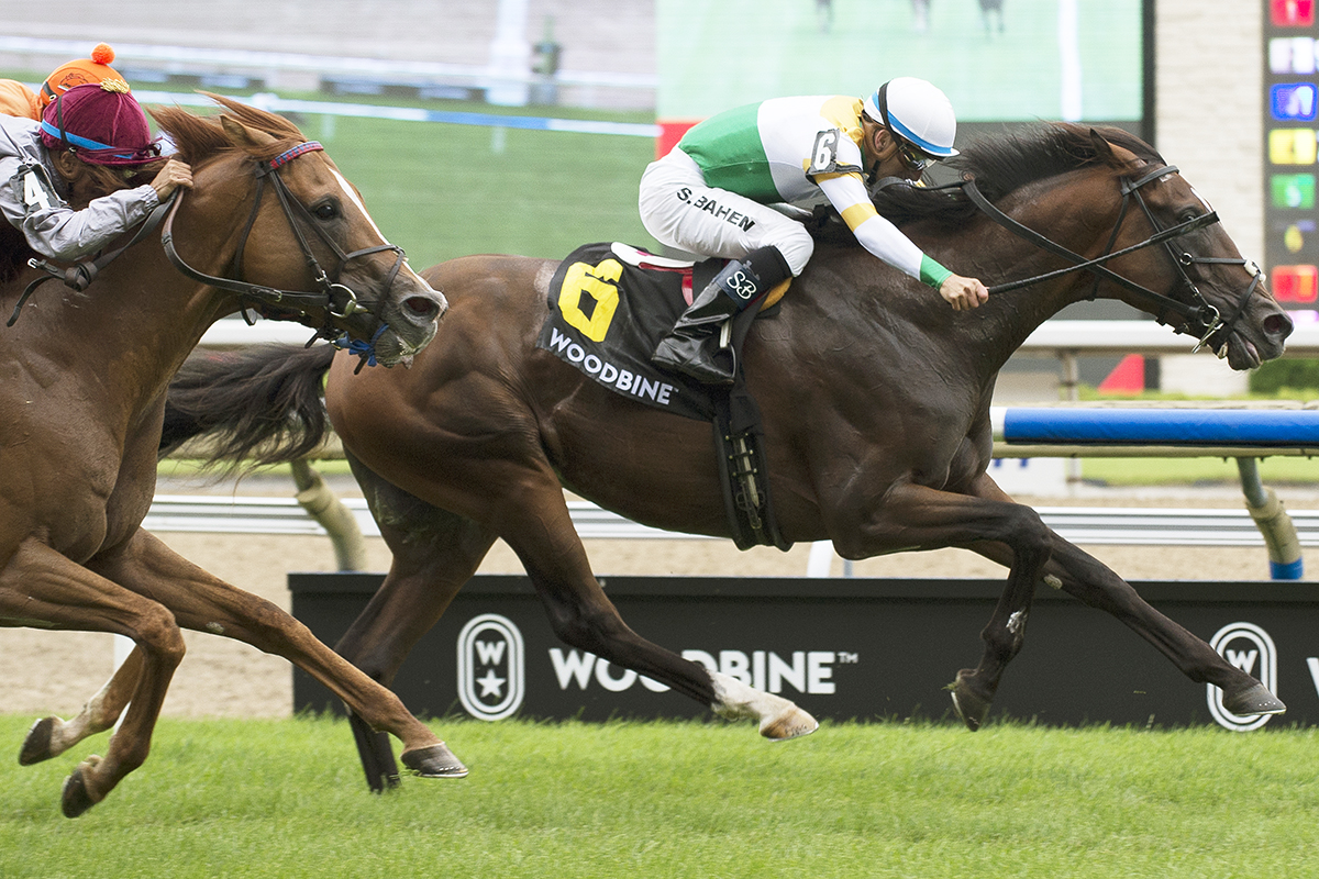 Tiz a Slam wins the 2018 Nijinsky Stakes