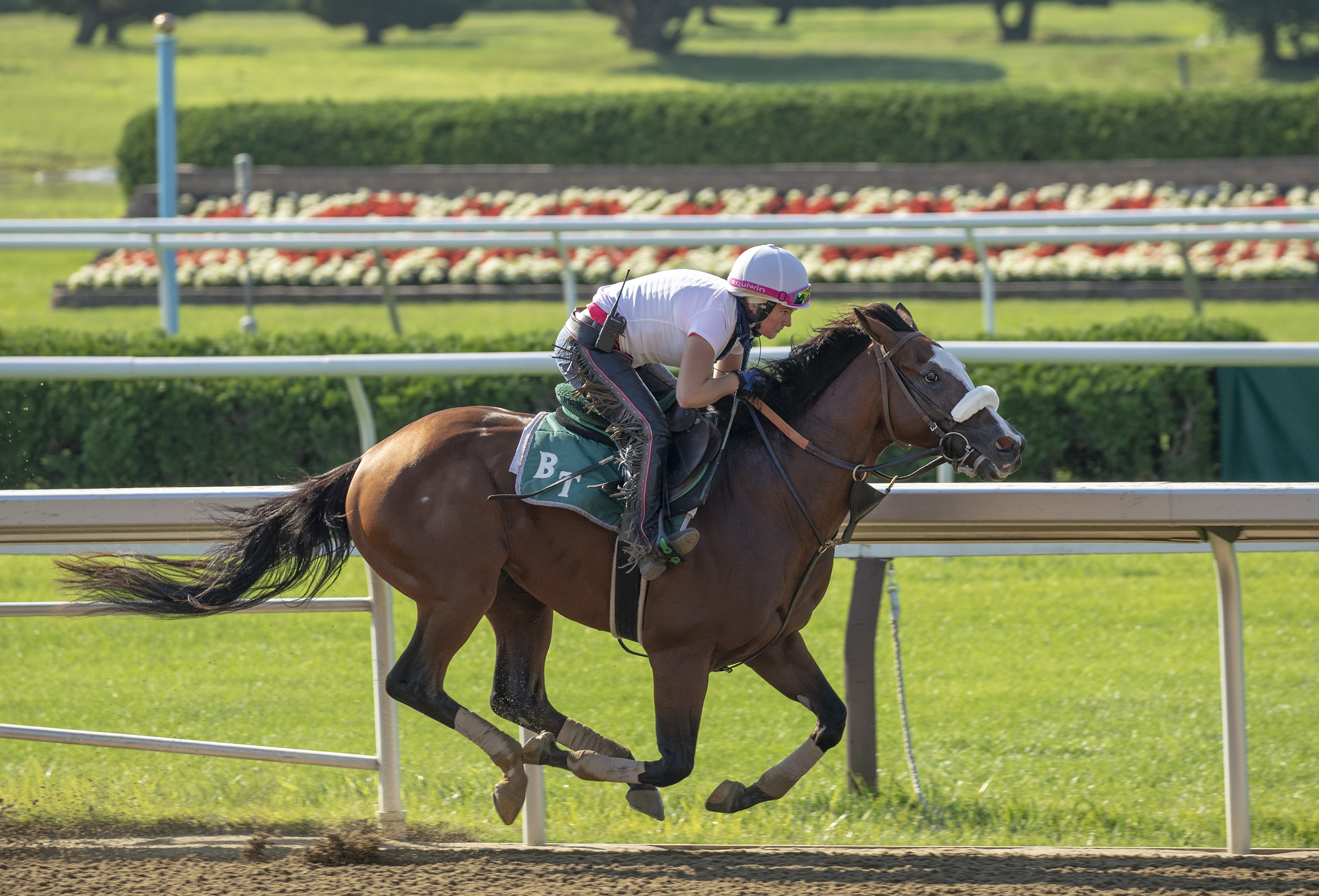 Tiz the Law/ July 18 work