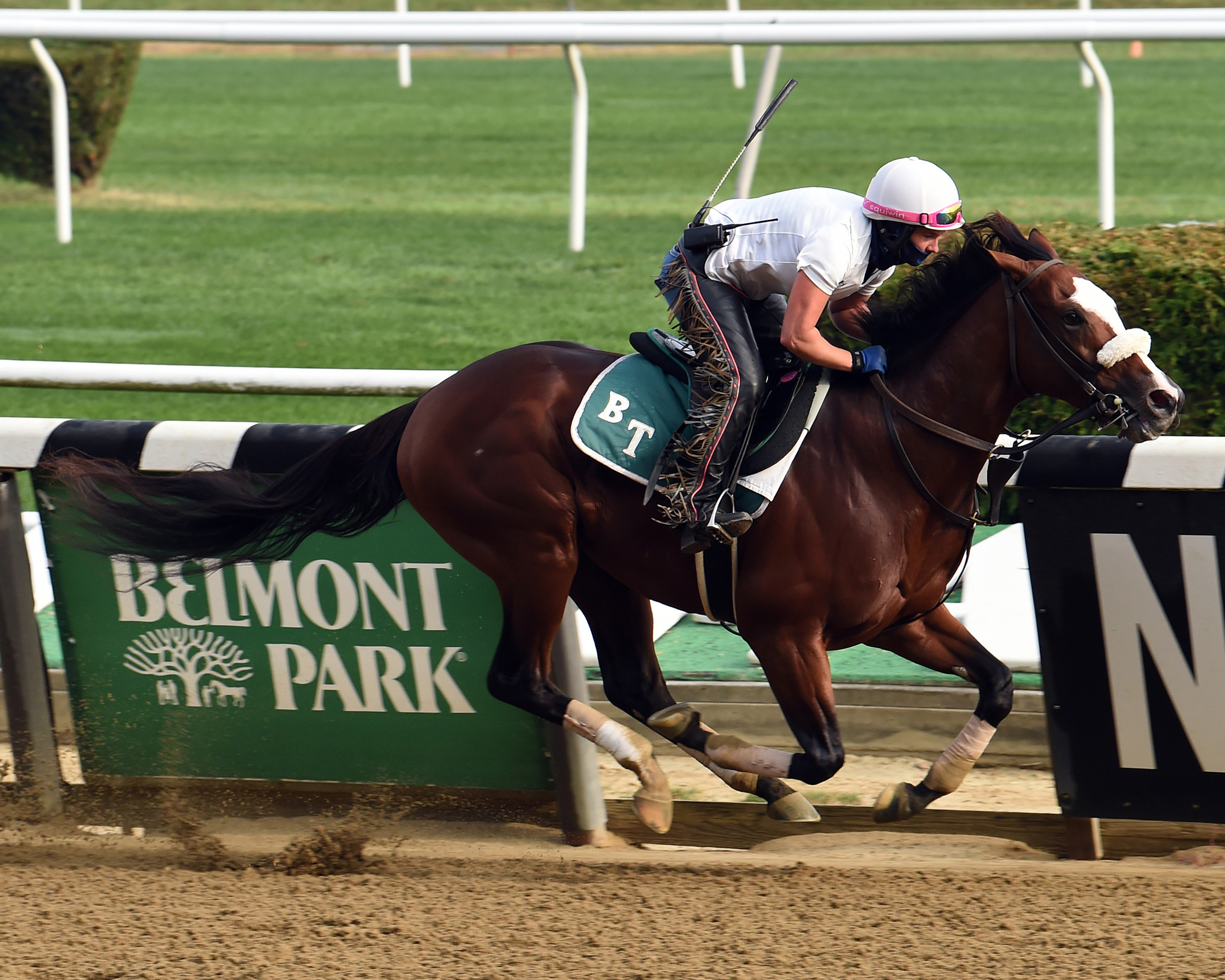 Tiz the Law ejercitando en Belmont Park