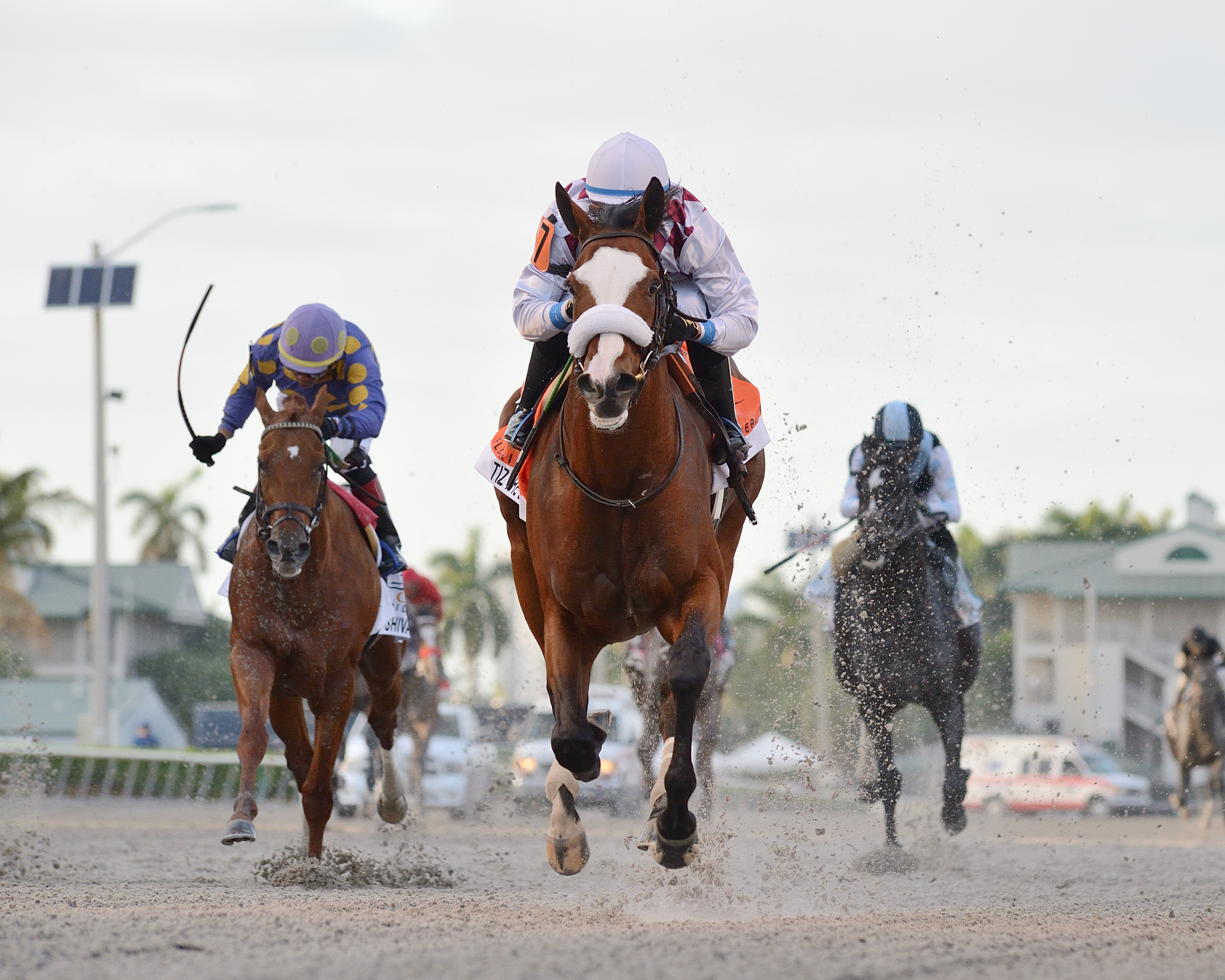 Tiz the Law wins the 2020 Florida Derby