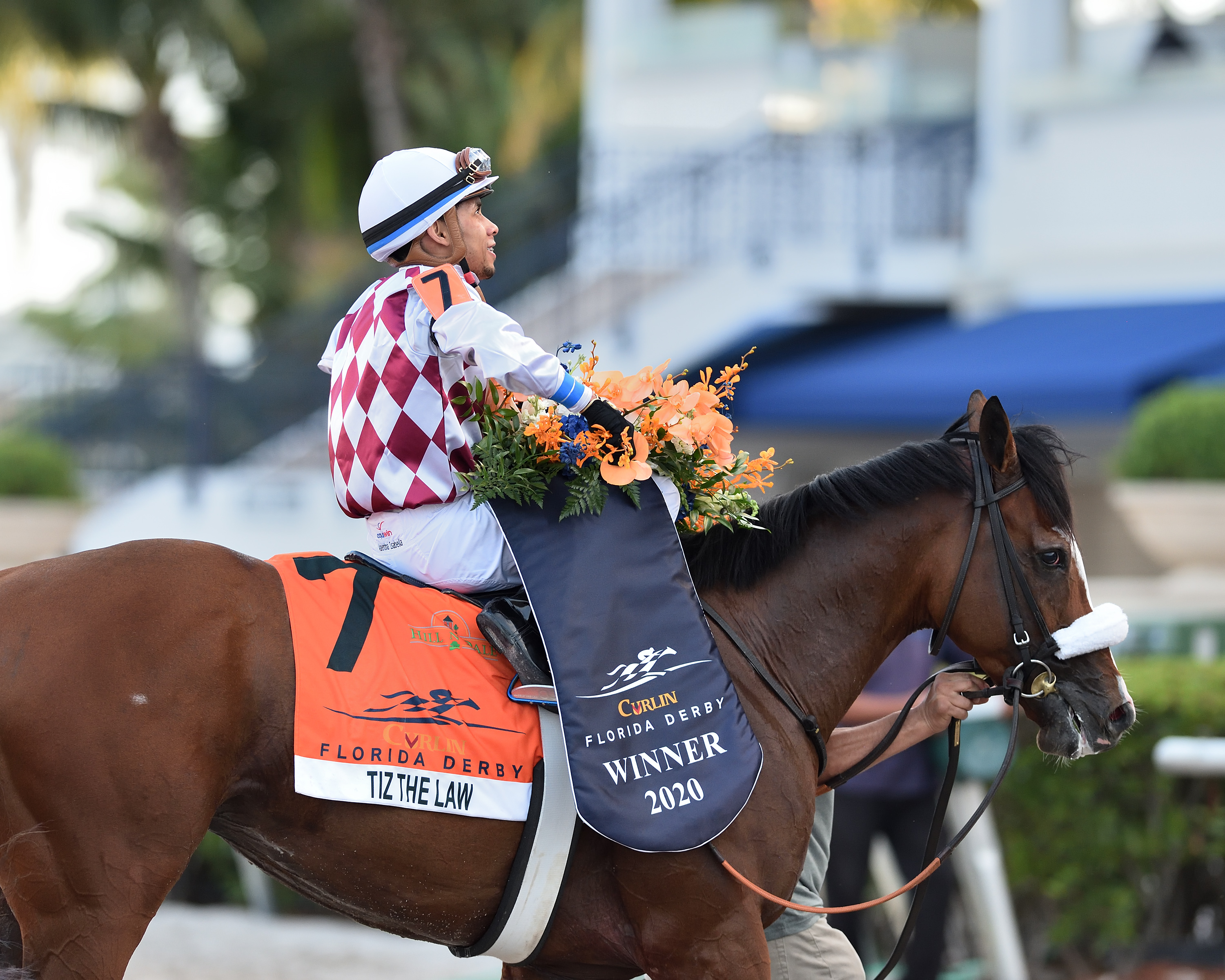 Tiz the Law following victory in 2020 Florida Derby