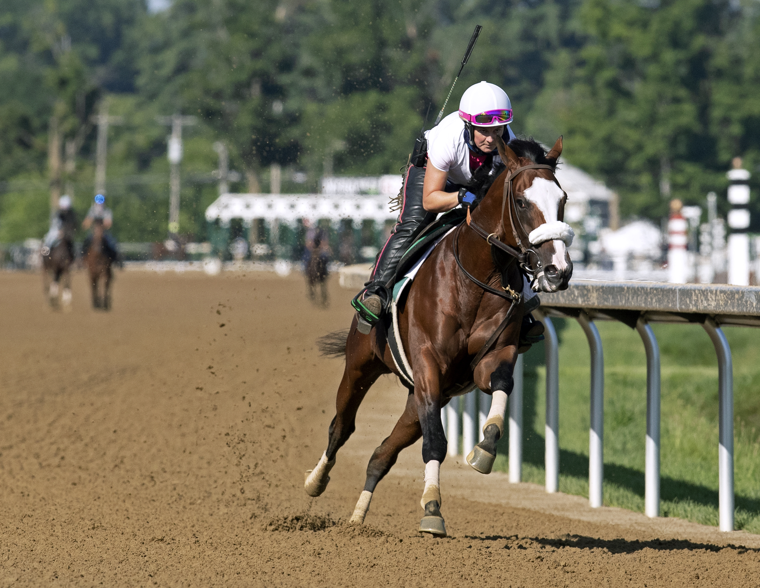 Tiz the Law/July 18 workout