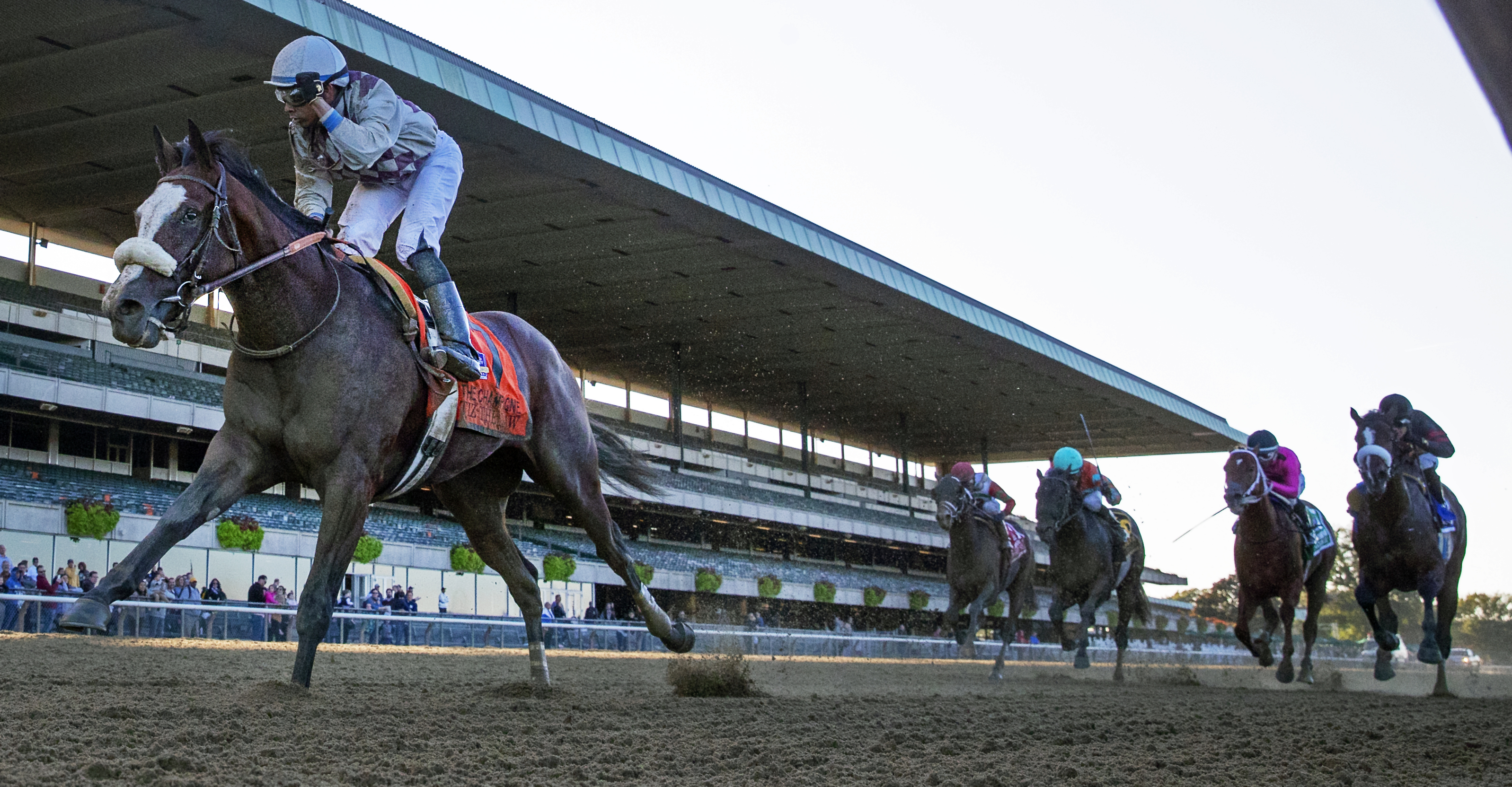 Tiz the Law wins the 2019 Champagne Stakes