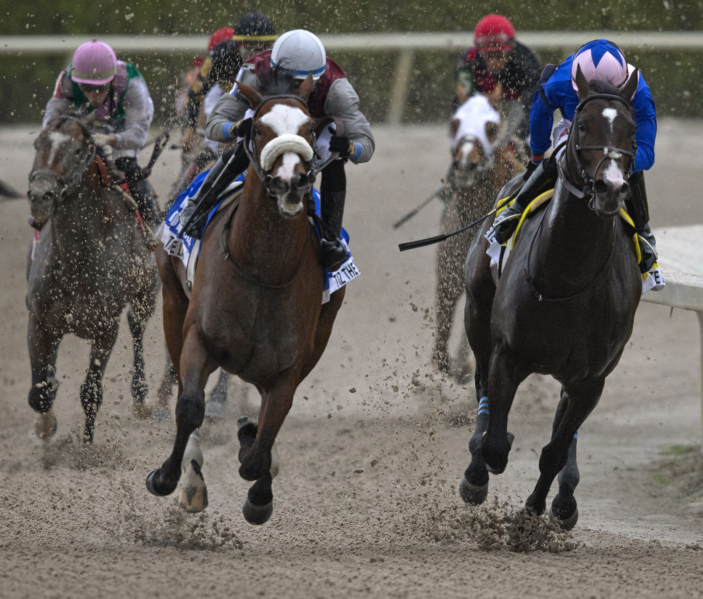 Tiz the Law (center) in the 2020 Holy Bull Stakes
