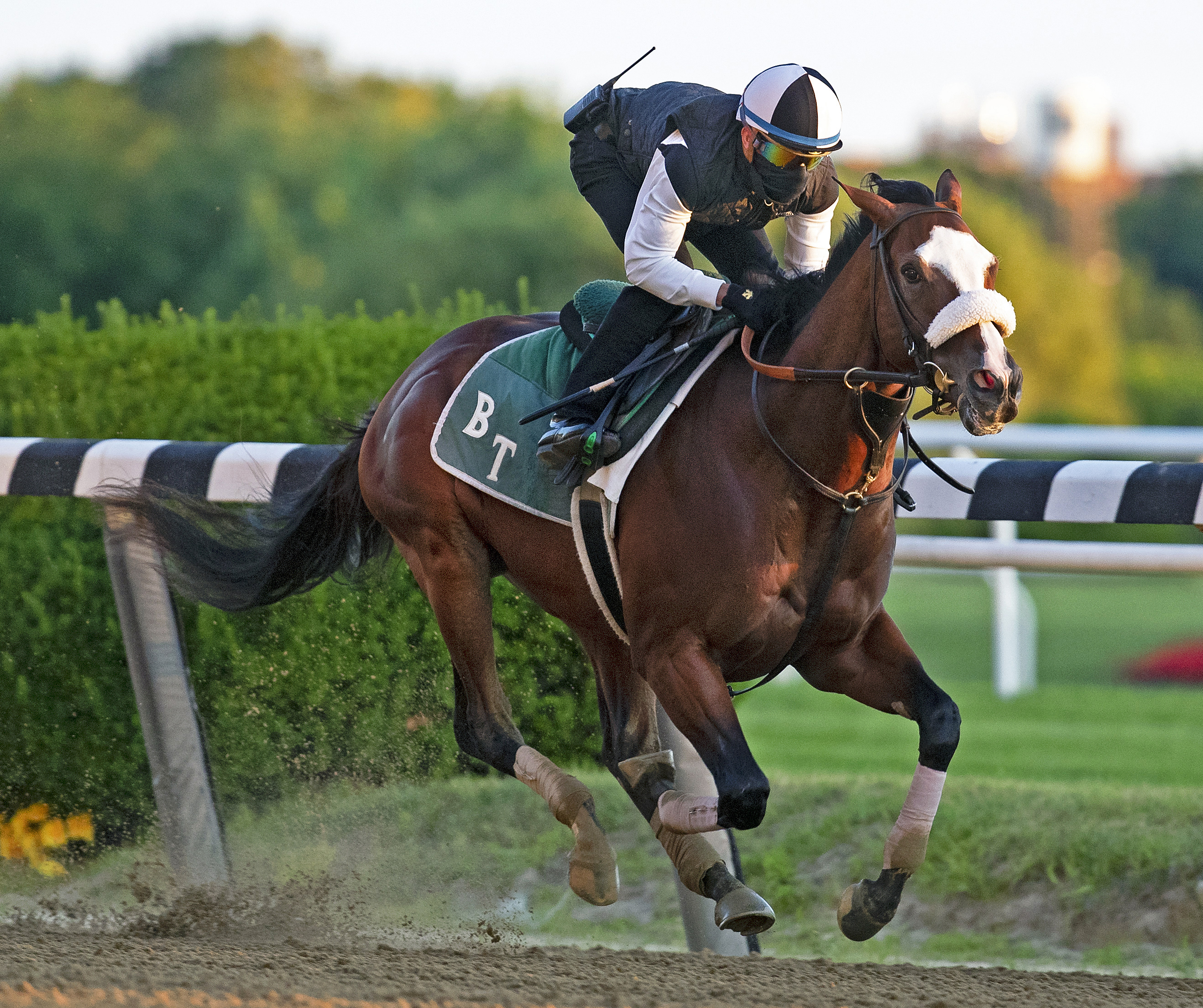 Tiz the Law/Final Belmont work