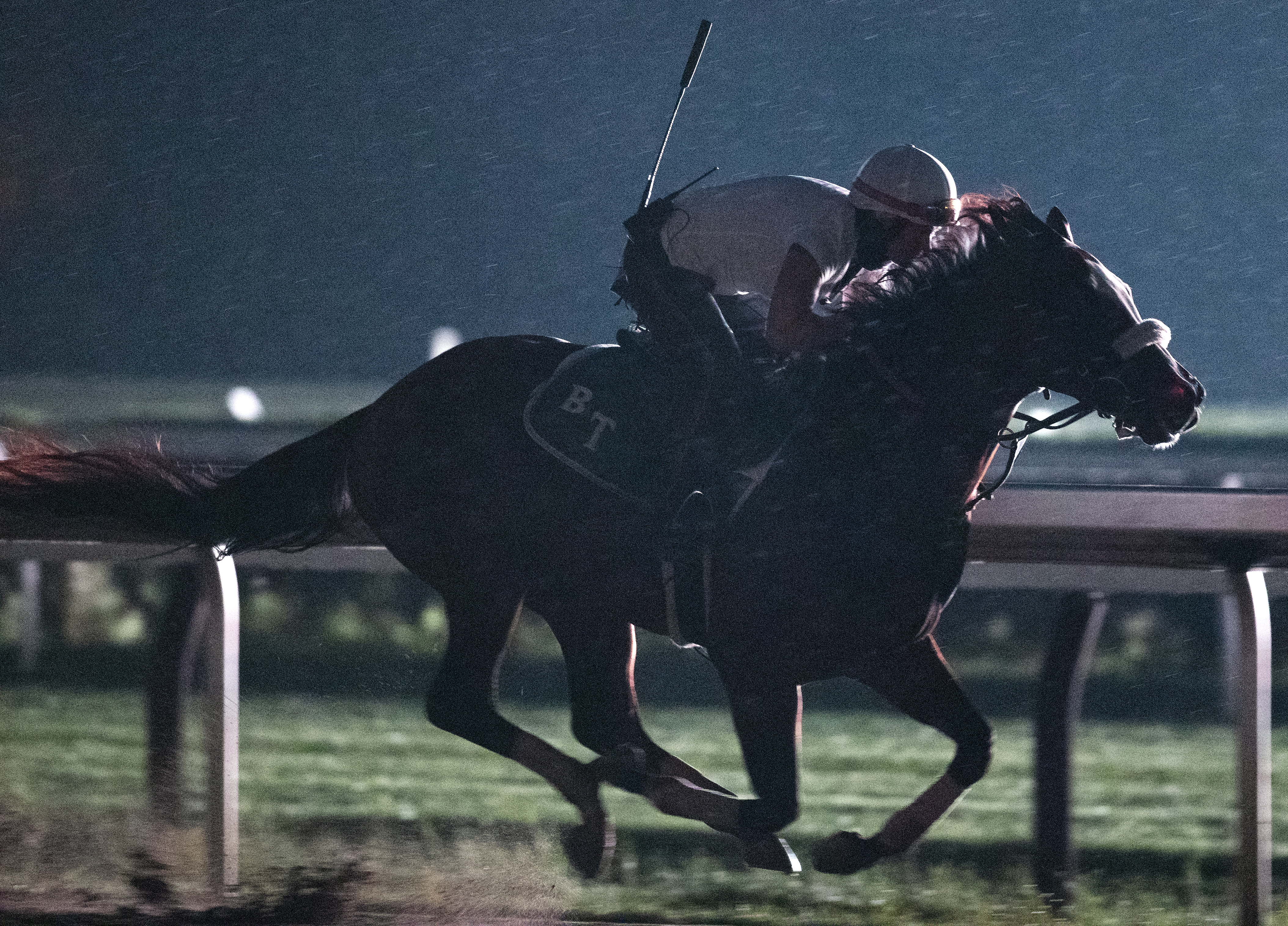 Tiz the Law/Final Derby work