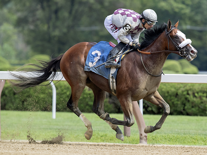 Tiz the Law wins an Aug. 8 maiden race at Saratoga Race Course