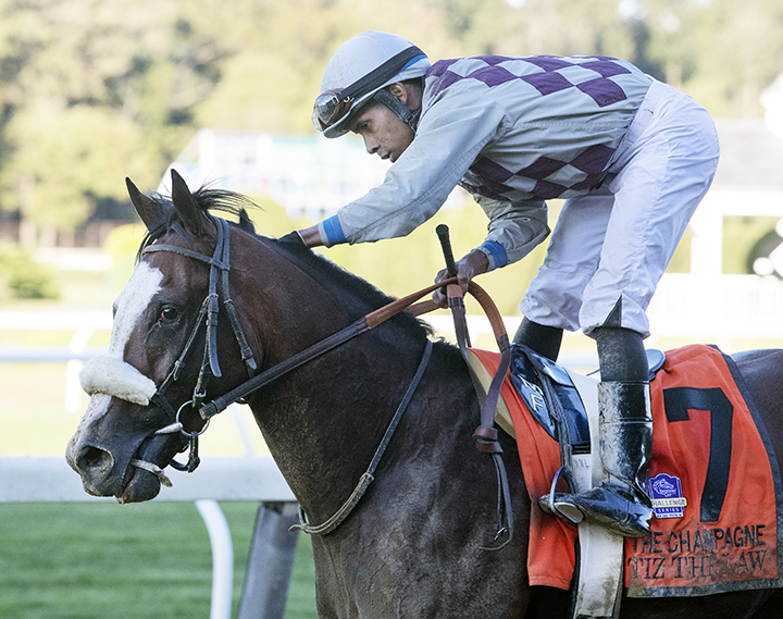 Tiz the Law after winning the Champagne Stakes at Belmont Park
