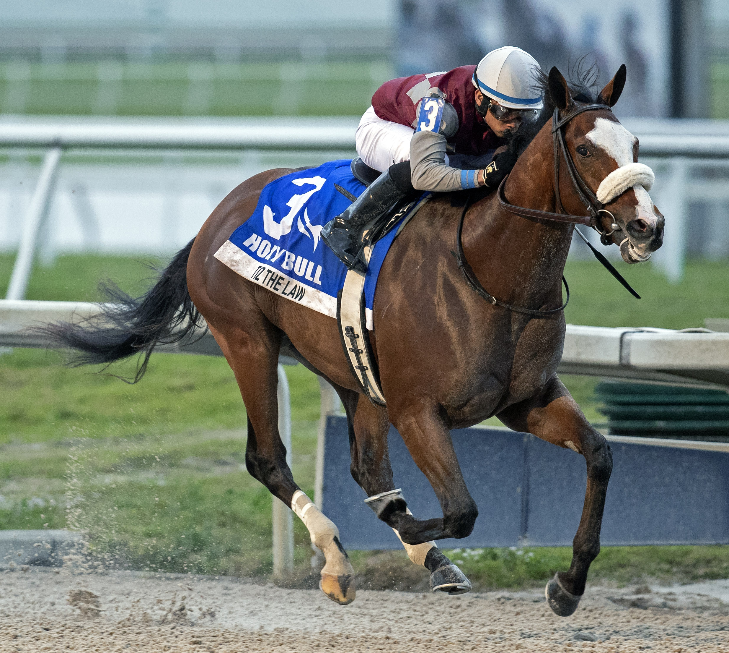 Tiz the Law wins the 2020 Holy Bull Stakes