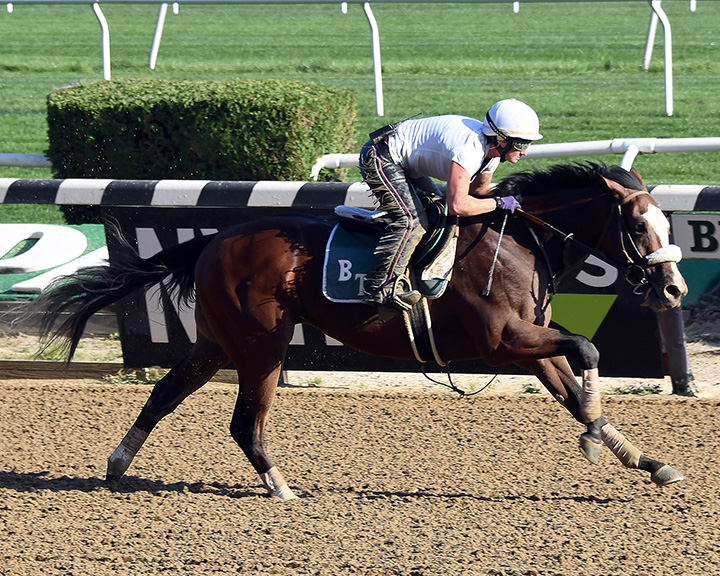 Tiz the Law trains at Belmont Park on Sept. 26