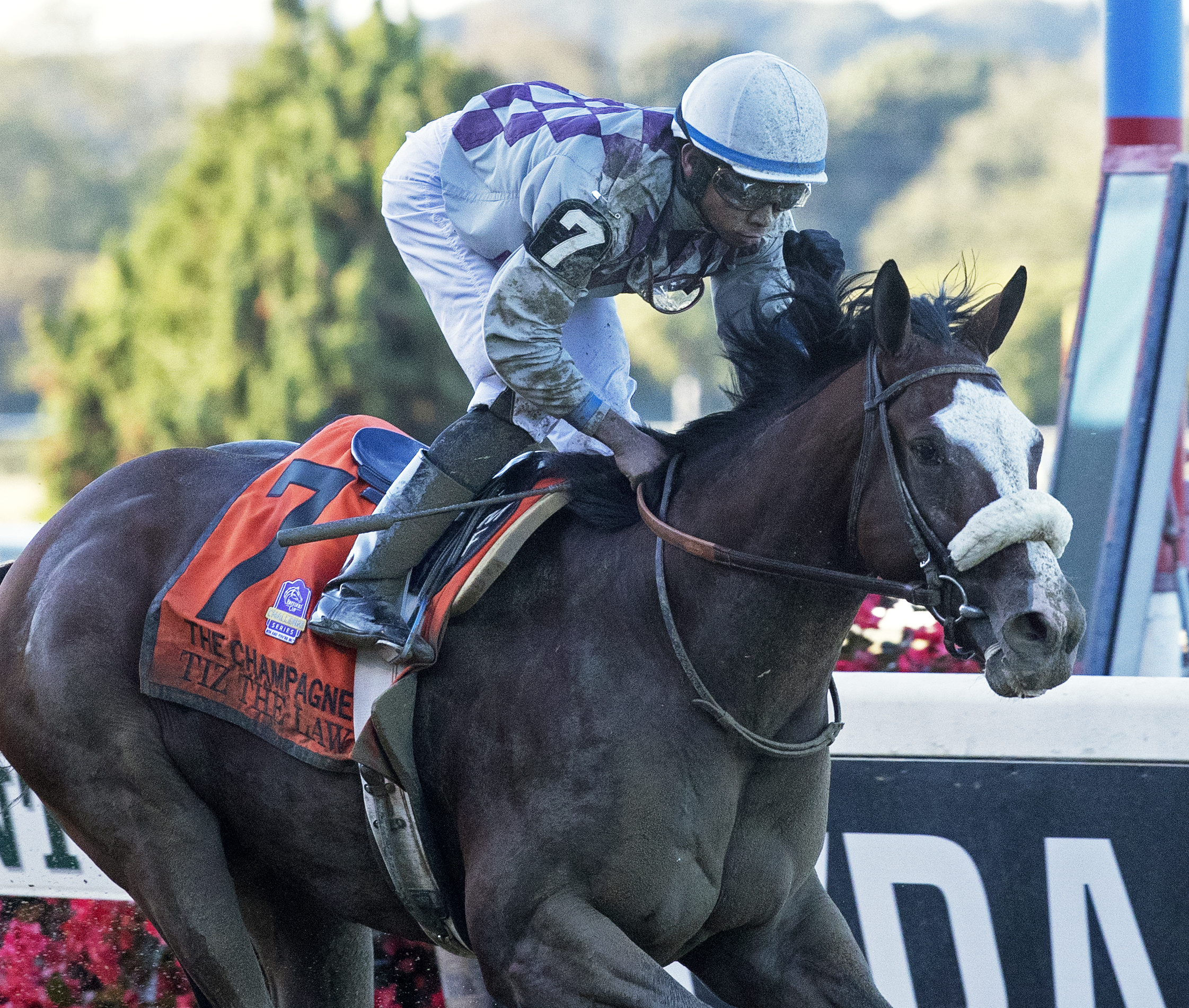 Tiz the Law wins the 2019 Champagne Stakes