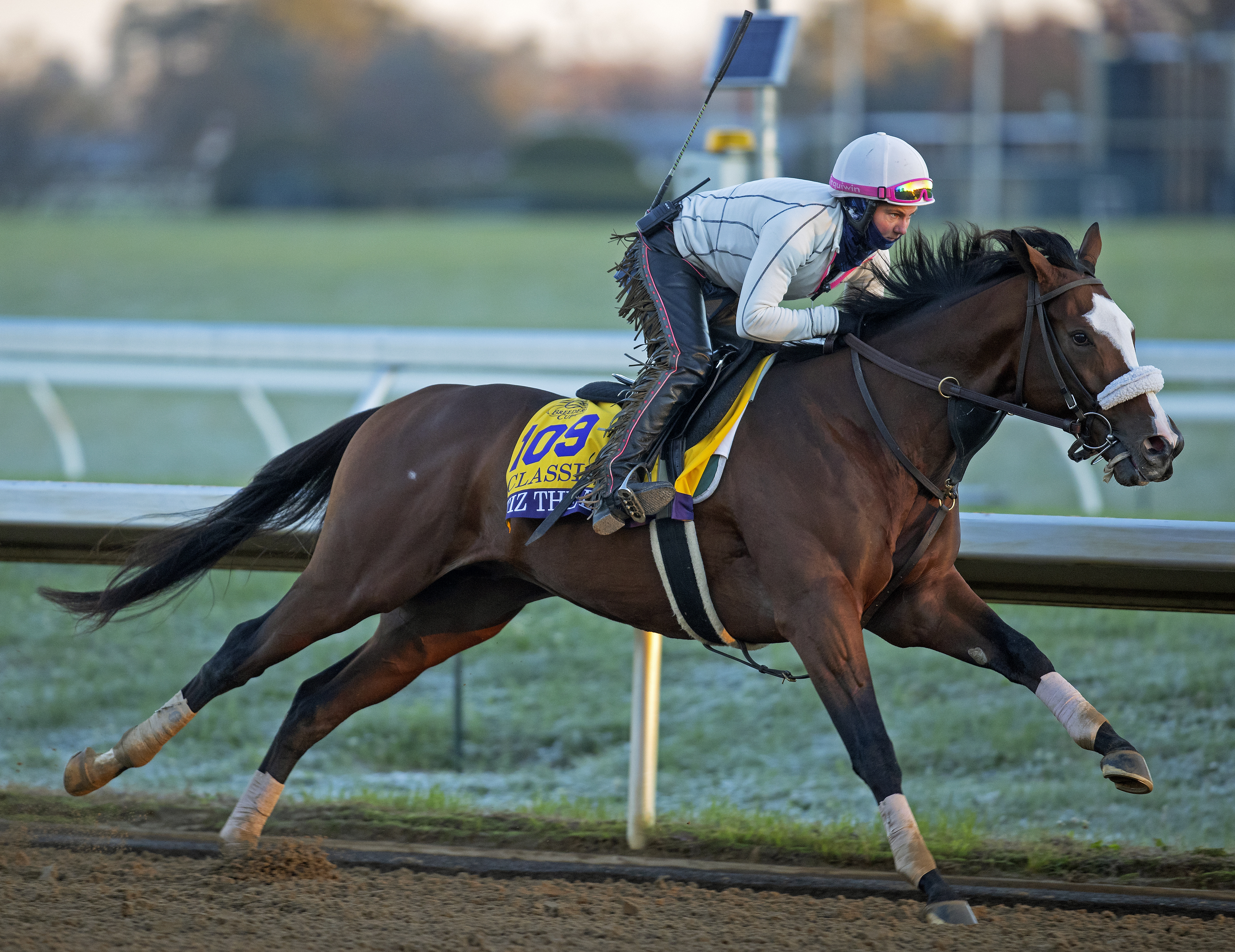Tiz the Law works at Keeneland 10-31-2020