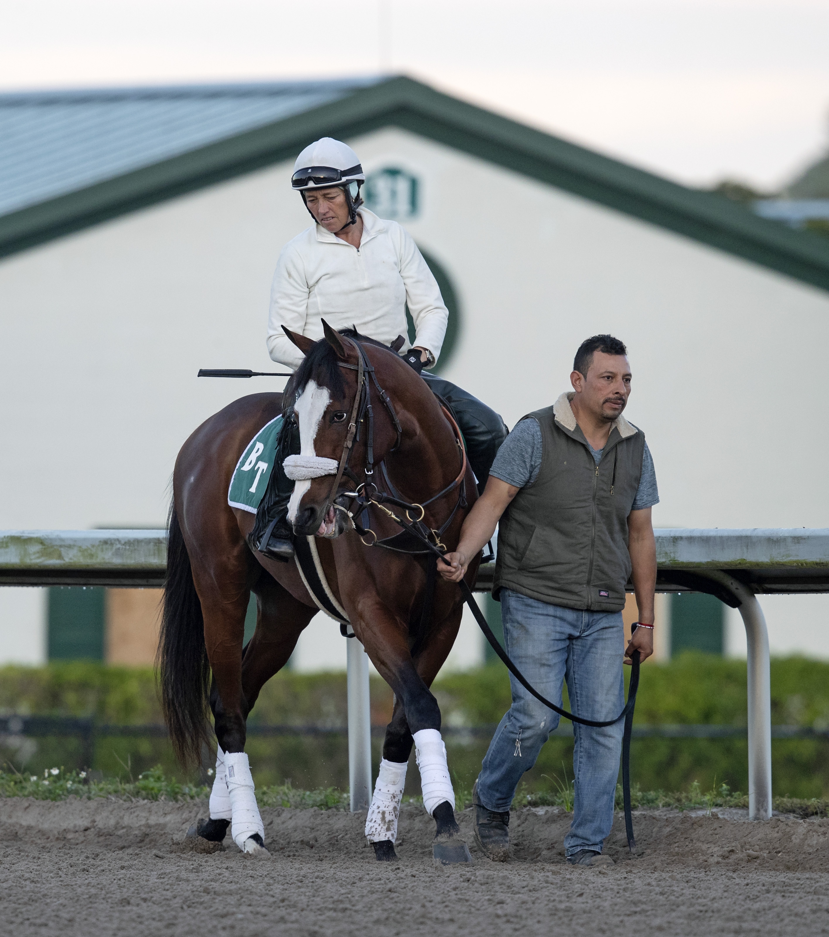 Tiz the Law on track at Palm Meadows 1.29.20