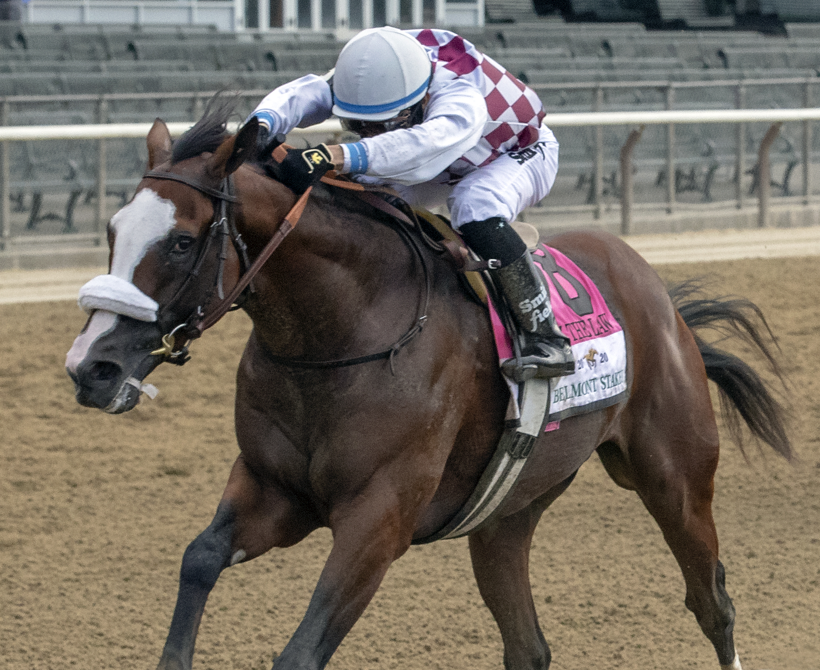 Tiz the Law/Belmont Stakes