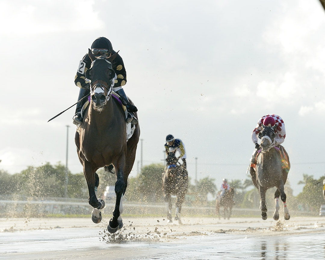 Tiz Possible Dear wins the 2020 Millions Distaff at Gulfstream Park West