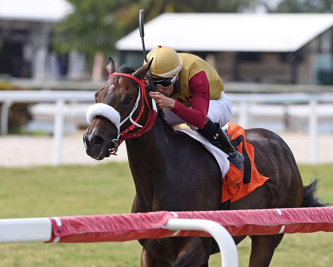 Tiz Romantic wins an April 14 claiming race at Gulfstream