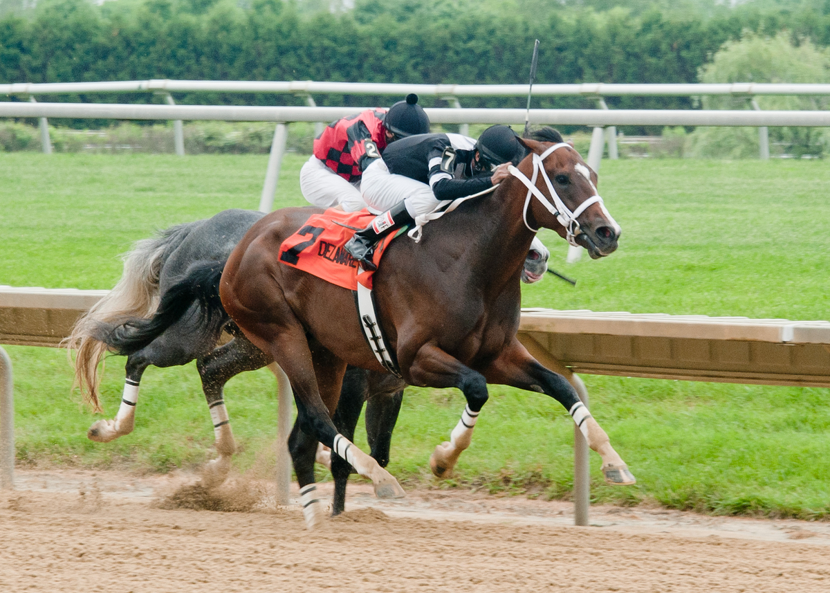Tiz'naz 5-28-2014