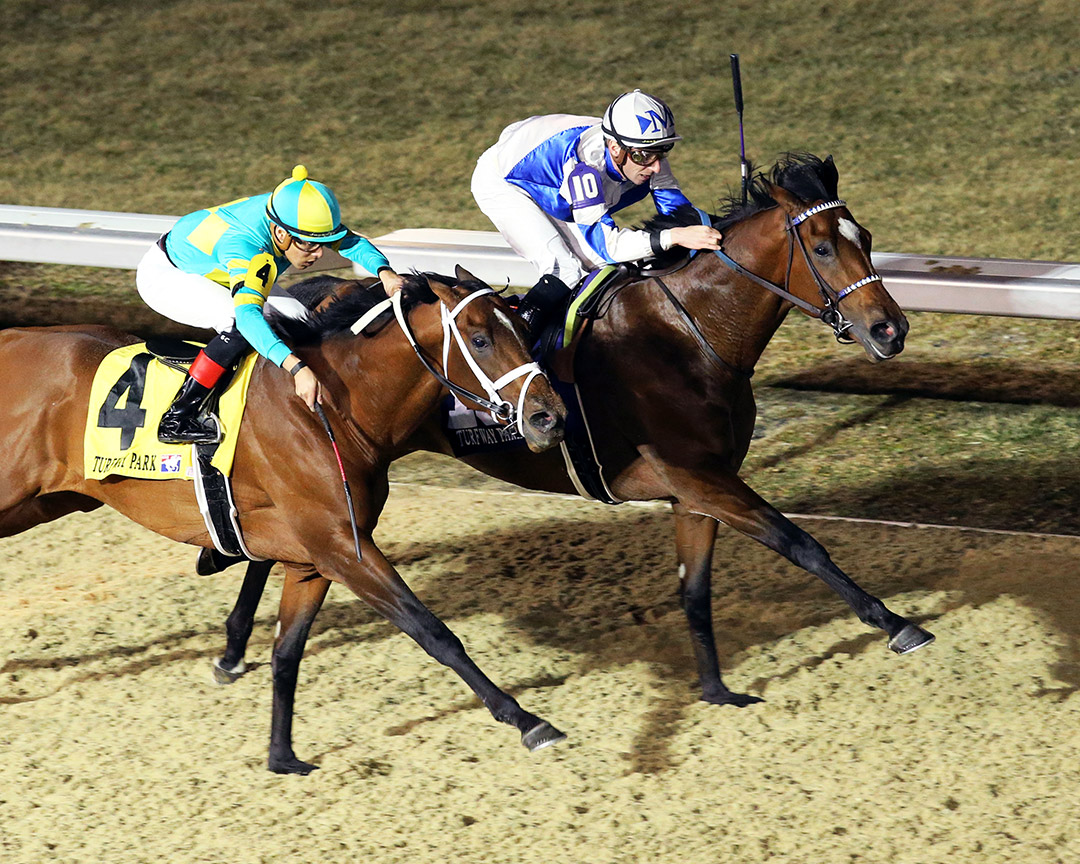 Tiz the Bomb (10) wins the John Battaglia Memorial at Turfway Park