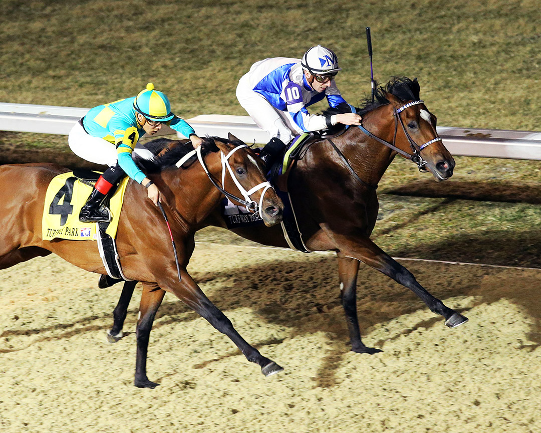 Tiz the Bomb (10) beats Stolen Base to win the John Battaglia Memorial Stakes at Turfway Park