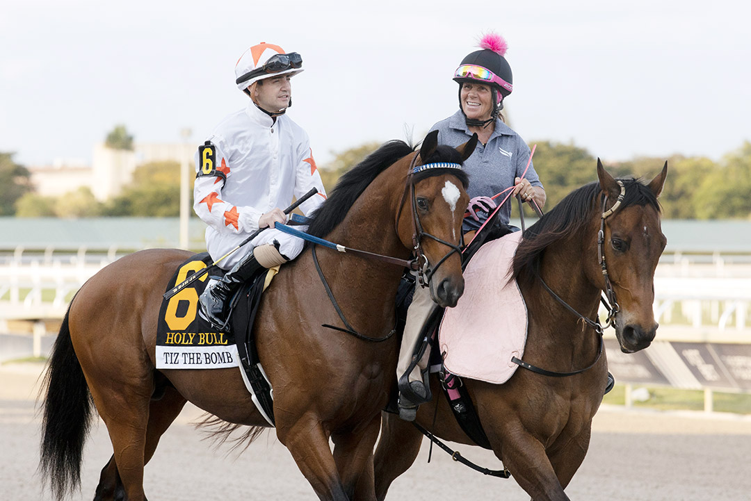 Tiz the Bomb at the Holy Bull Stakes at Gulfstream Park