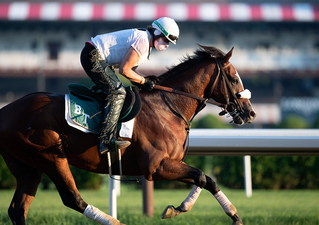Tiz the Law trains at Saratoga on July 30