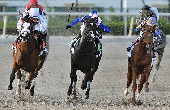 Ete Indien (center), Tiz the Law (left) and Shivaree (right) enter the stretch of the Florida Derby