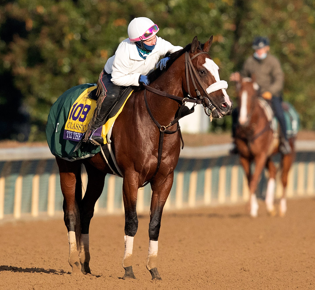 Tiz the Law at Keeneland Racecourse on Nov. 5