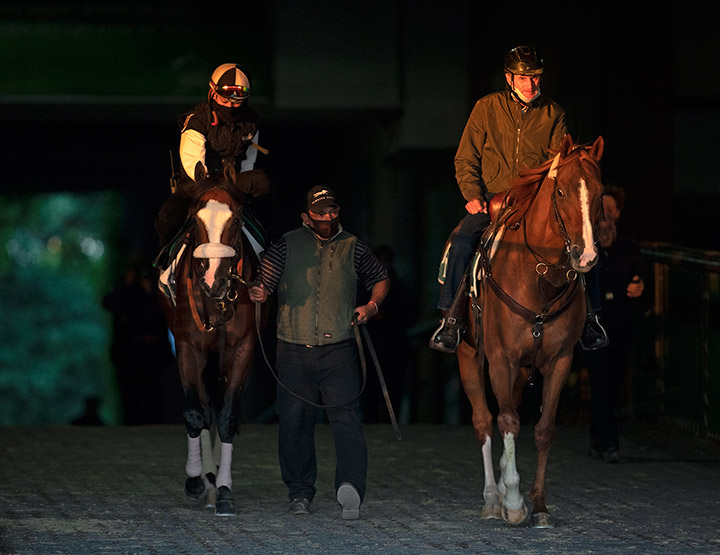 Trainer Barclay Tagg with Tiz the Law at Belmont Park on June 14