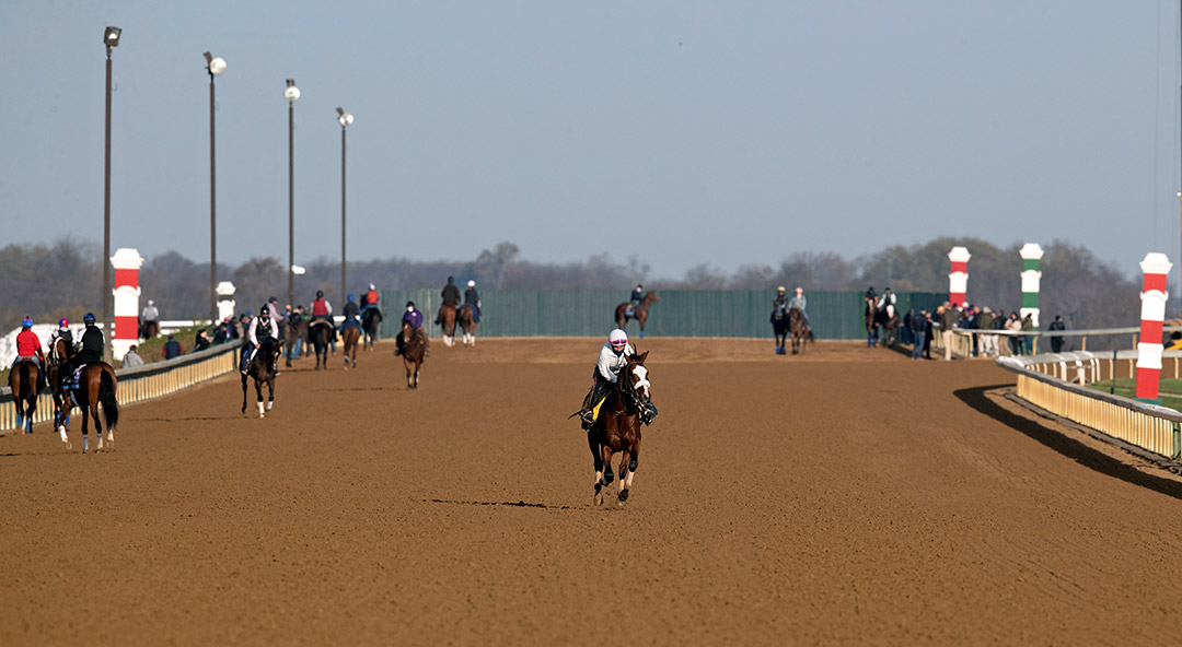 Tiz the Law trains at Keeneland Racecourse for the Breeders' Cup, Nov. 5, 2020