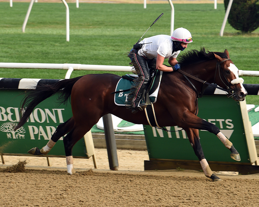Tiz the Law trains at Belmont Park on Sept. 25