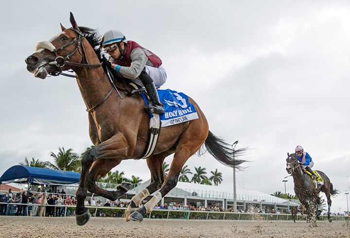Tiz the Law wins the 2020 Holy Bull Stakes at Gulfstream Park