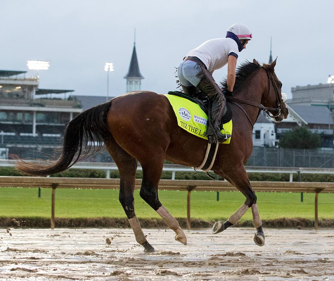 Tiz the Law trains at Churchill on Sept. 2