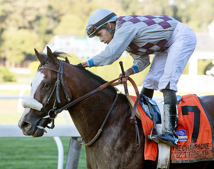 Tiz the Law after winning the Champagne Stakes at Belmont Park